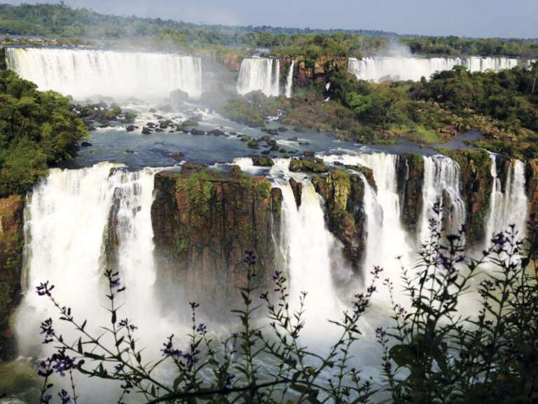 Brasil e mudanças climáticas: o que “Alice no País das Maravilhas” tem a dizer?