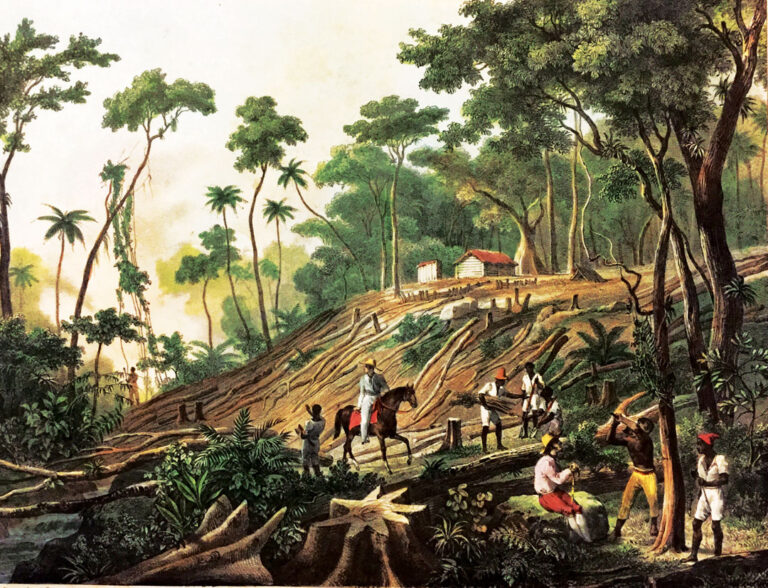 Obscurantismo no Ministério do Meio Ambiente ameaça o ICMBio e a biodiversidade brasileira