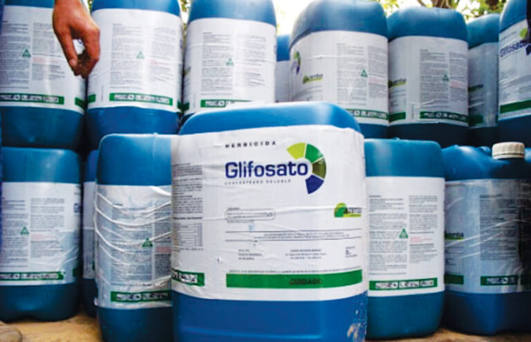 Os Agrotóxicos e a saúde