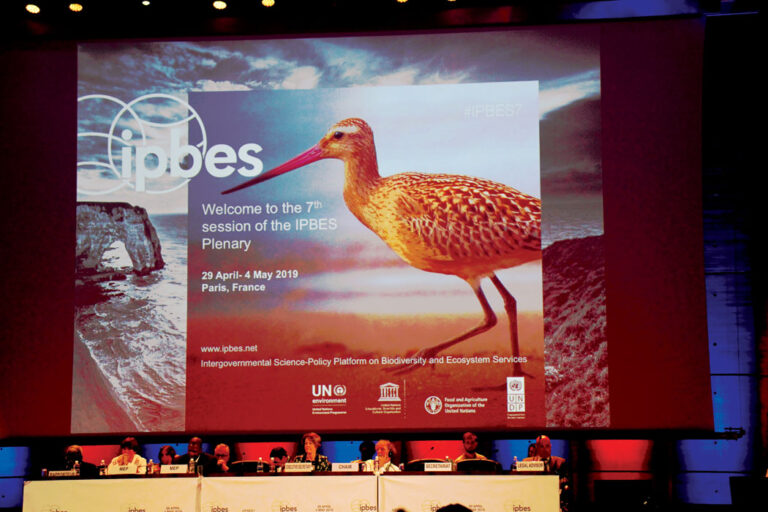 IPBES divulga em Paris o estado da biodiversidade global