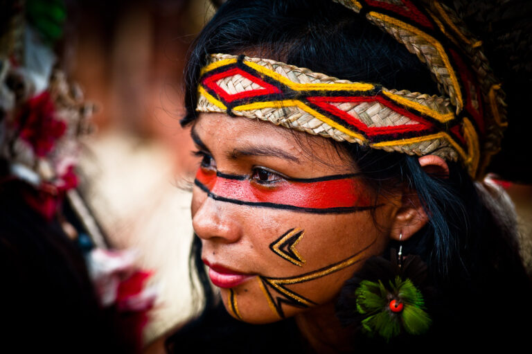 Cidadania, Florestania: A Amazônia, titular de direitos