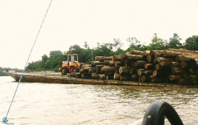 Imazon divulga dados do desmatamento na Amazônia em fevereiro de 2019