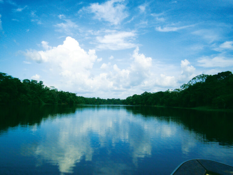 Um terço dos rios do mundo está íntegro e saudável