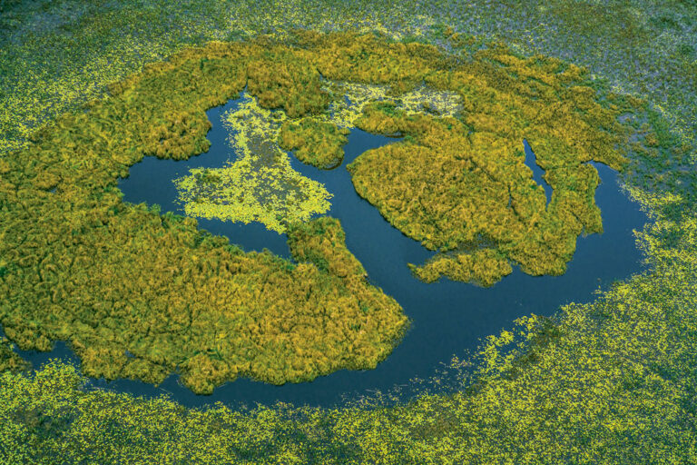 Projeto Documenta Pantanal coloca a região em evidência