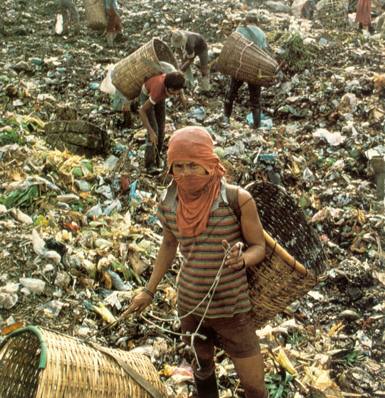 Uma década perdida para o meio ambiente