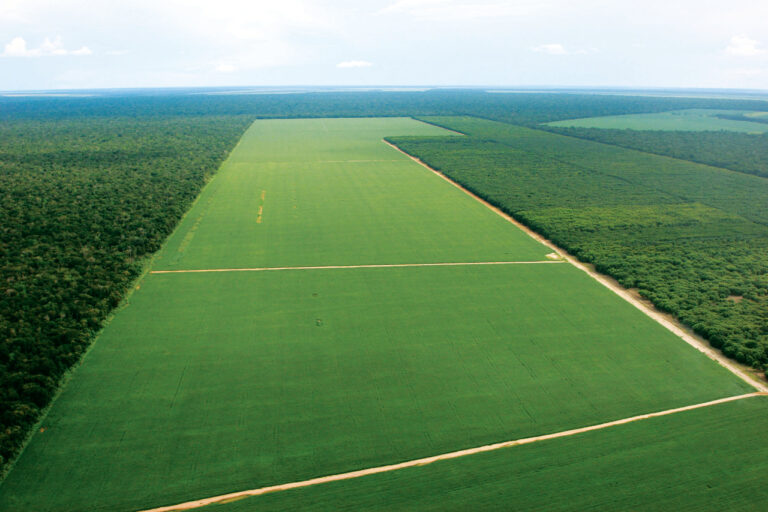 Agricultura e uso do solo emitem 23% das emissões de gases do Efeito Estufa