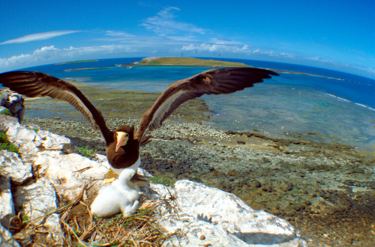 Regime jurídico dos Sítios Ramsar no Brasil