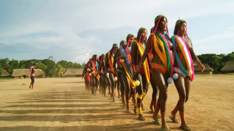 Destacando as origens dos produtos florestais indígenas do Brasil