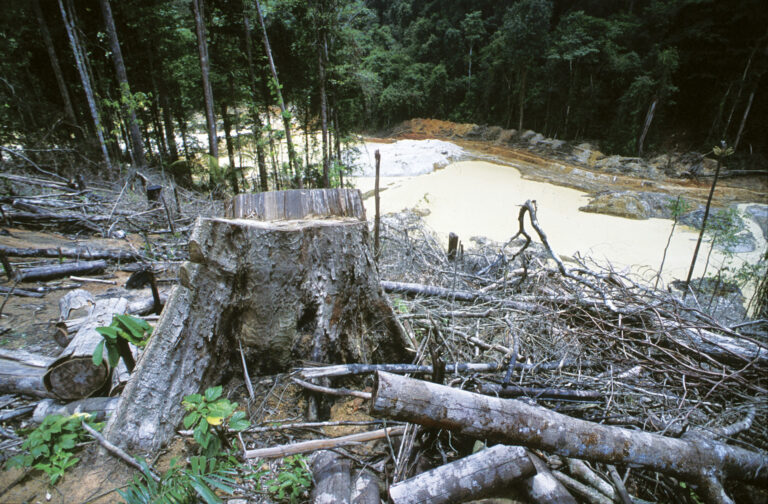 Áreas Protegidas na Amazônia estão sob-risco de ameaça e pressão