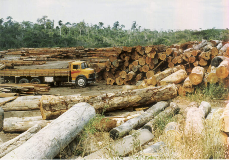 Brasil é pioneiro em incentivo financeiro contra desmatamento