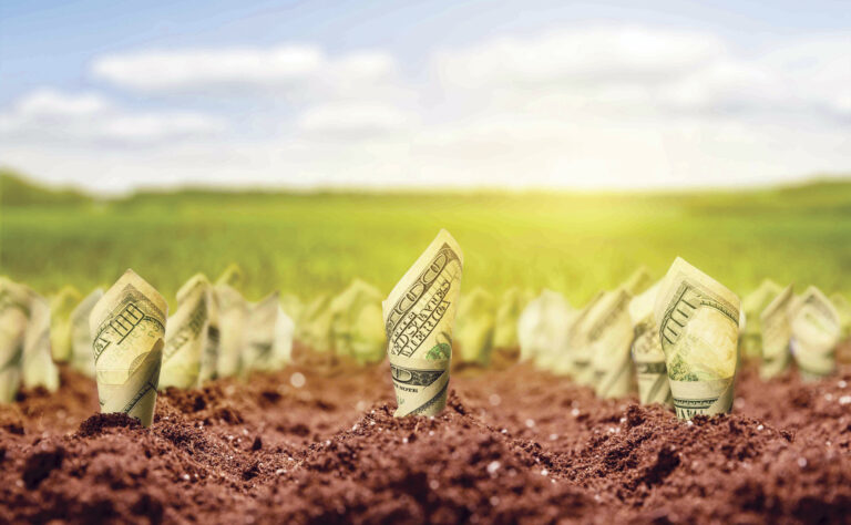 Agricultura e usos do solo emitem 23% das emissões de gases do Efeito Estufa