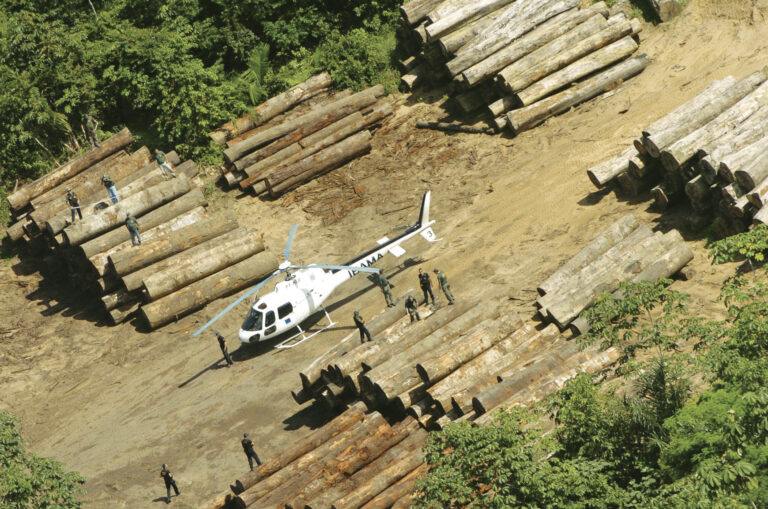 Ministro do Meio Ambiente vai gerenciar aplicação de recursos de multas ambientais