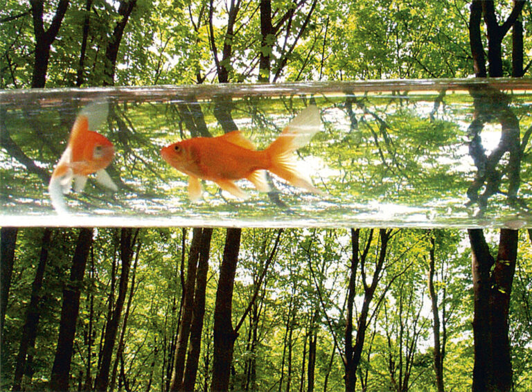 Agrotóxicos na água não é novidade, mas há outros compostos que também preocupam