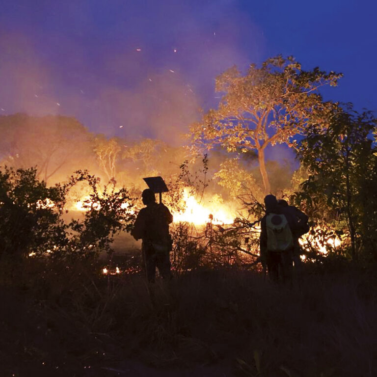 Alter do Chão: acusação sem provas é ataque à Constituição