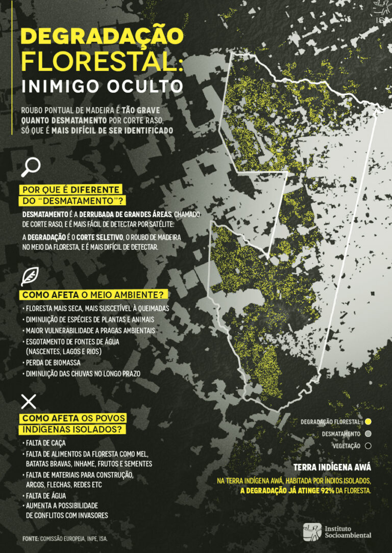 Na Amazônia, a destruição é muito maior do que conseguimos ver