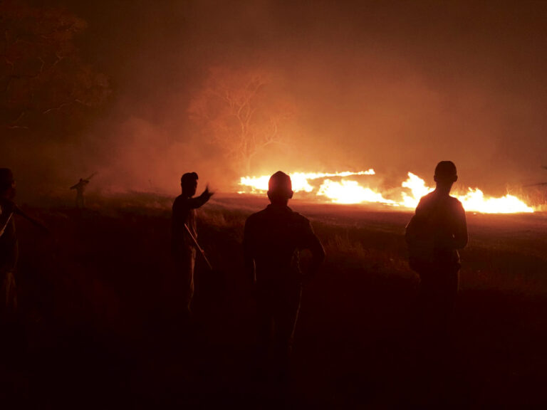 Área queimada no Pantanal passa de 1 milhão de hectares