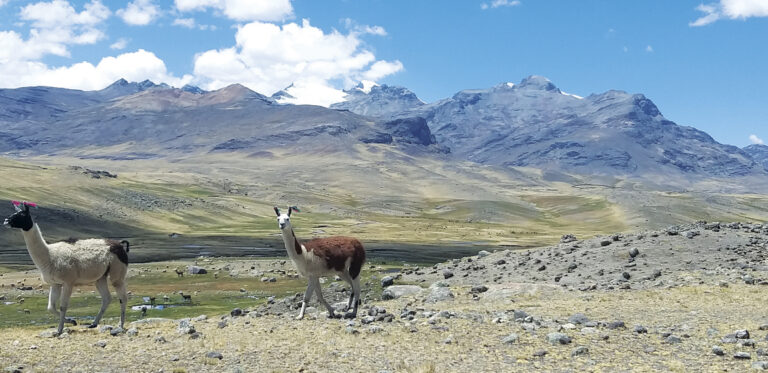 Do Peabiru à Trilha Inca, caminhos que conectam as unidades de conservação da América do Sul