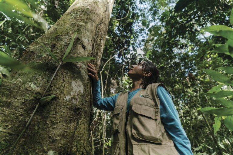 Clima, natureza e o nosso futuro 1.5°C