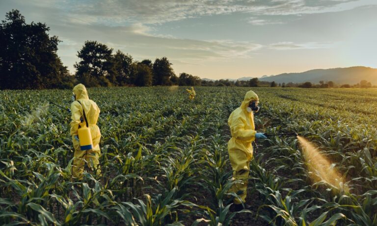 Agrotóxicos enquanto o mundo condena o glifosato, o Brasil o inocenta
