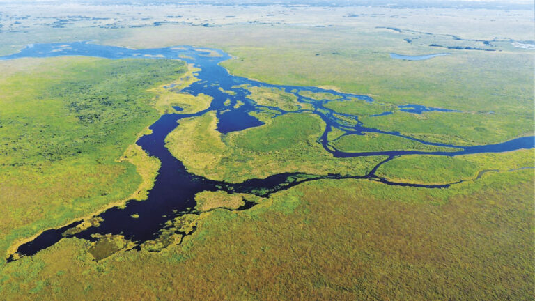 Paisagens ocultas do Pantanal