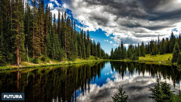 A palavra da moda de 2020 é Natureza