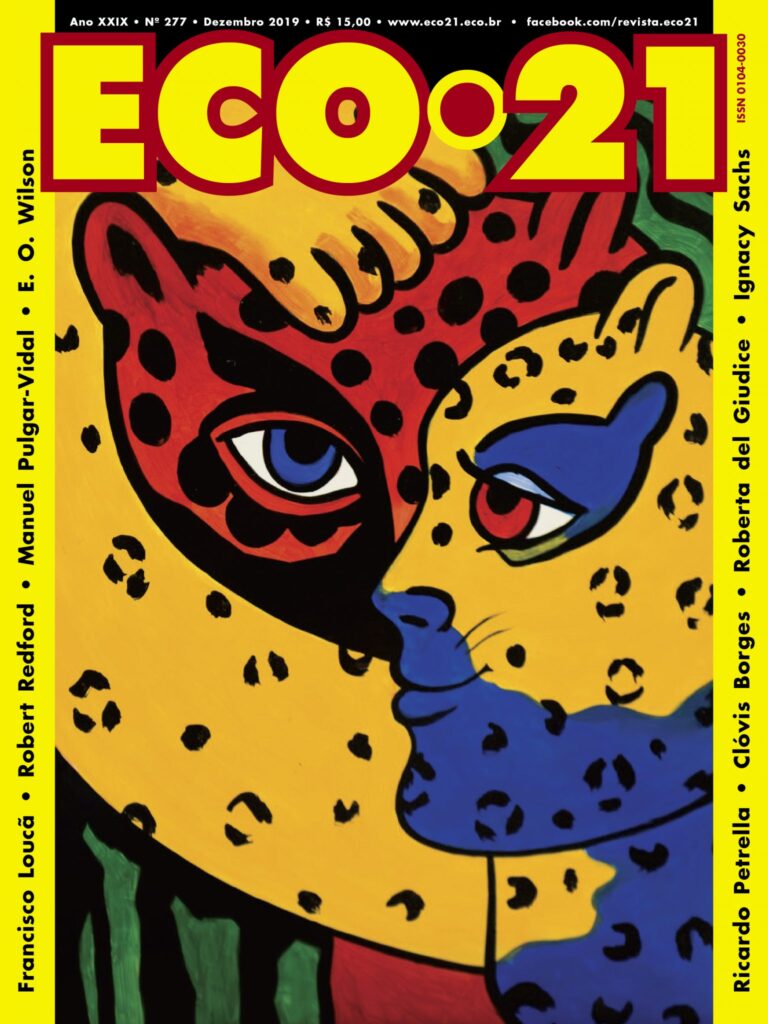 2019: o ano que o mundo e o Brasil pegaram fogo