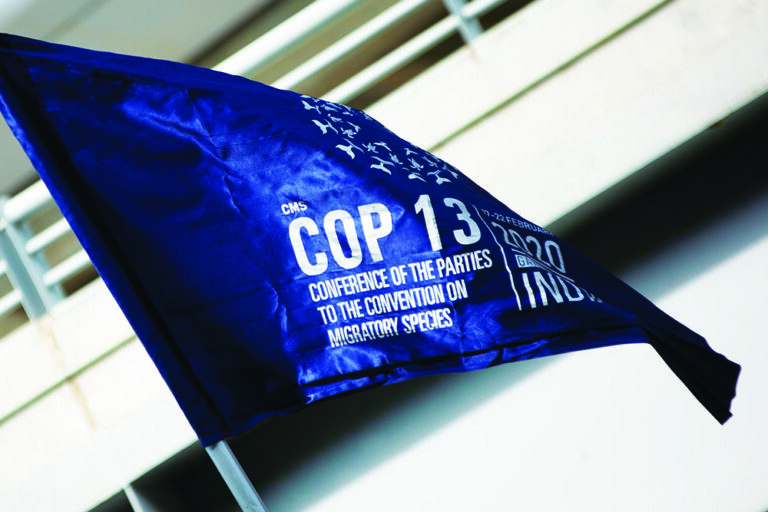 Na Índia, conferência internacional termina com novas ações para espécies migratórias