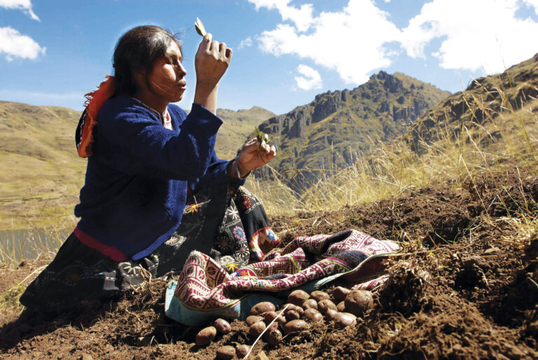 Proteger as culturas indígenas é crucial para salvar a biodiversidade