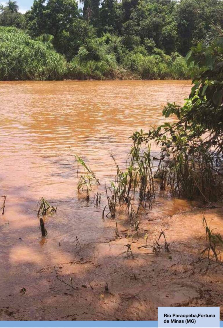 Observando os Rios: Expedição Vozes dos Rios