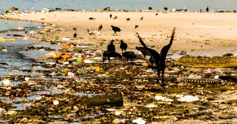 SanitaRIO: novos tempos para o saneamento no Rio de Janeiro