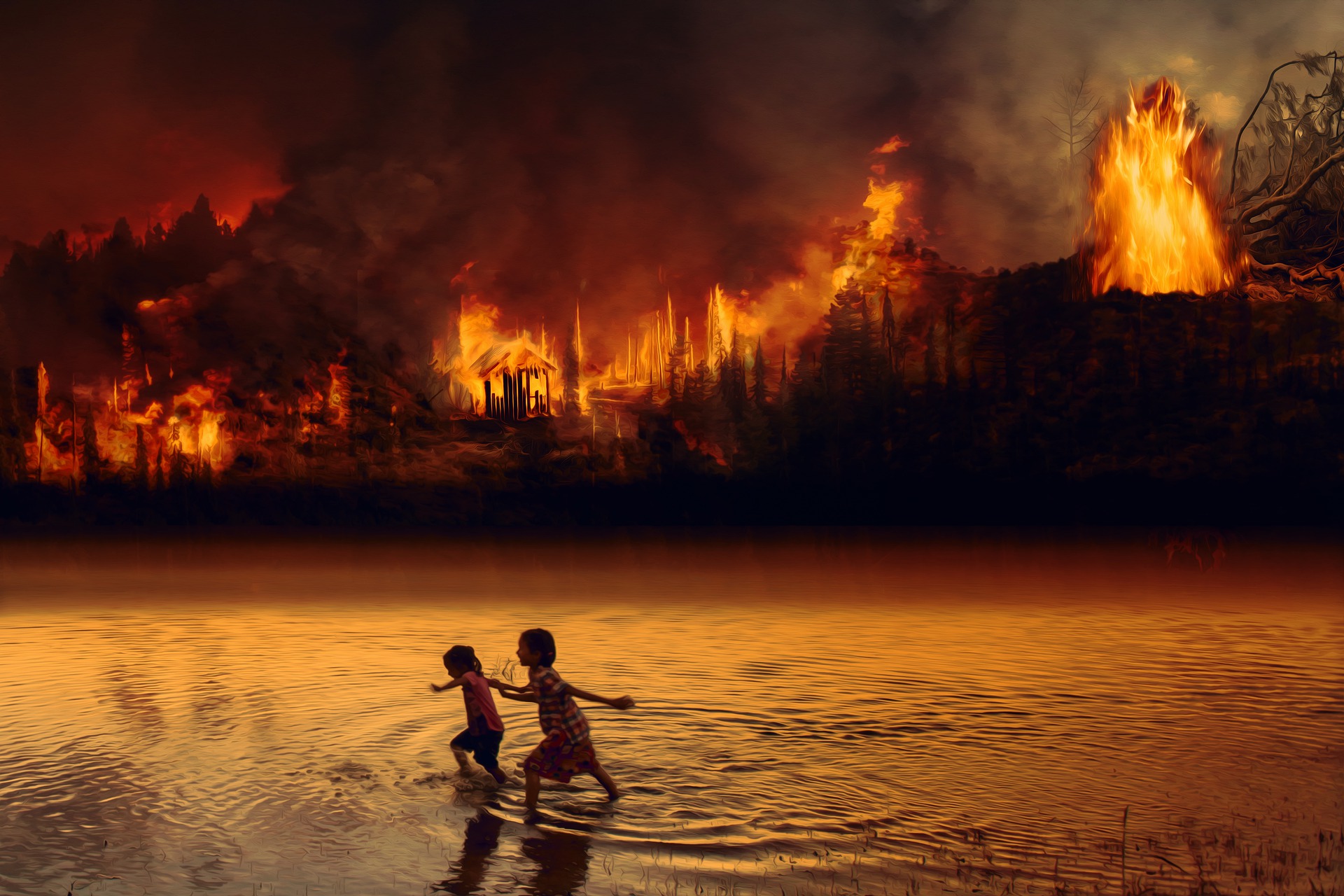 Amazônia em Chamas: filha de Chico Mendes lidera “empates” contra as  queimadas - Amazônia Real