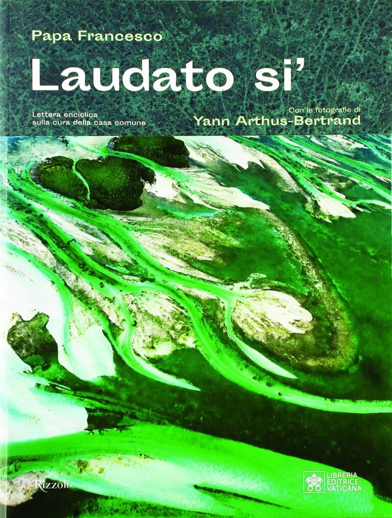 Uma leitura de cego da Encíclica Ecológica Laudato Si