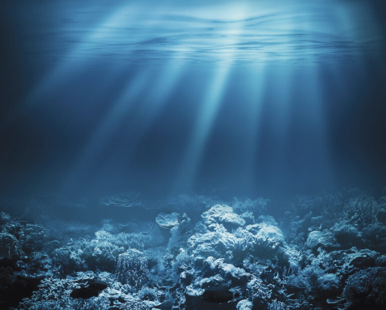 A Medida da Eficácia: ODS 14, Direito Internacional e os desafios da Governança Oceânica