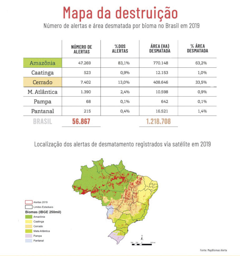 Pesquisadores temem explosão de desmatamento em 2020