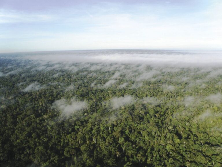 Por um pacto político que resolva a questão fundiária na Amazônia