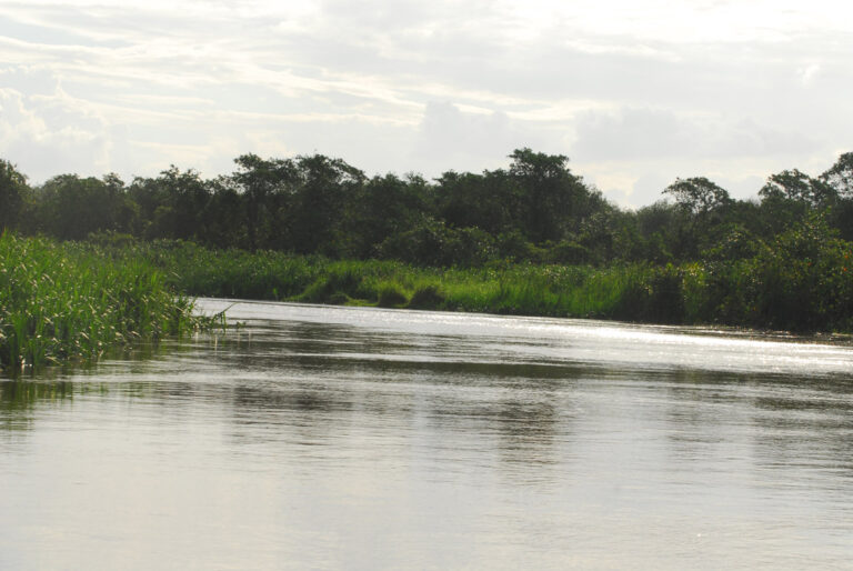 Crie uma reserva particular e deixe um legado que não será esquecido