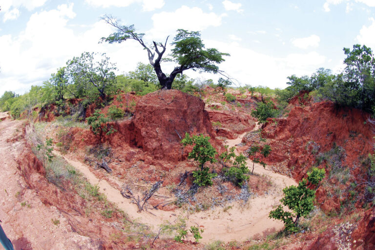 Degradação dos solos afeta 3,2 bilhões de pessoas, alerta ONU