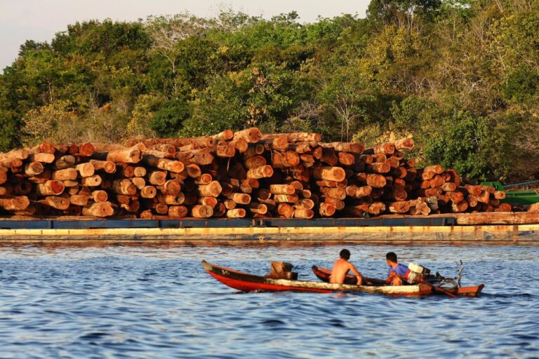 Amazônia Legal perde mais de 3 mil km² de floresta no primeiro semestre de 2020