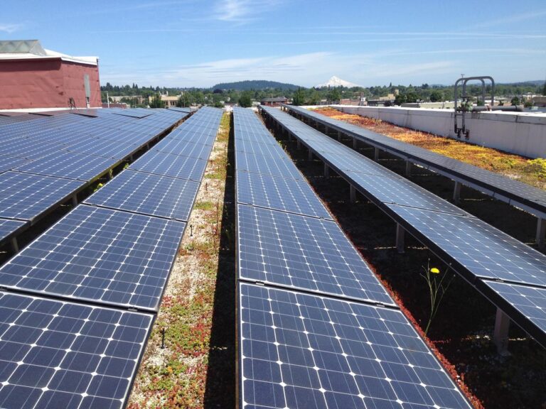 Energia solar: novas tecnologias e modelos de negócio para a recuperação econômica do Brasil