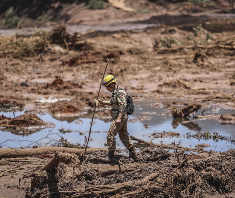 Não há desenvolvimento sem proteção ambiental