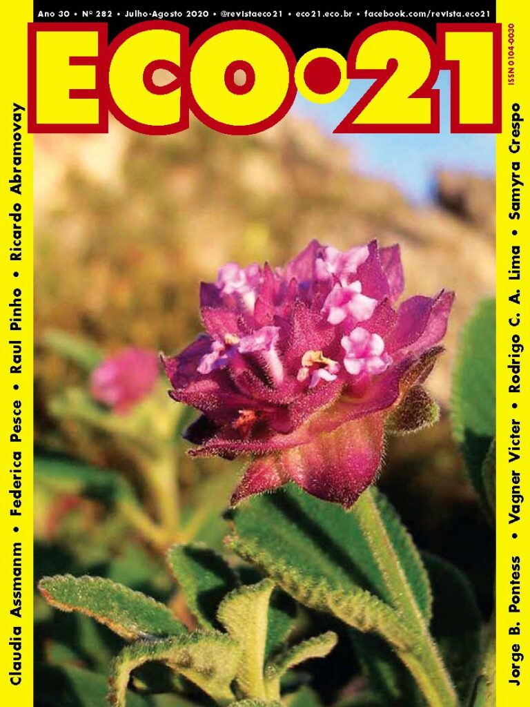 O ambientalismo é, cada vez mais, um ativo financeiro no Brasil