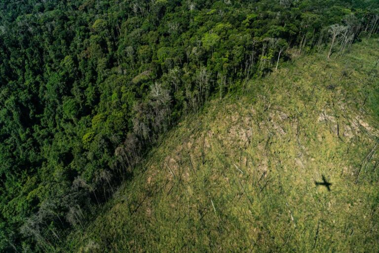 Corte de verba reforça desmonte da fiscalização ambiental no Brasil
