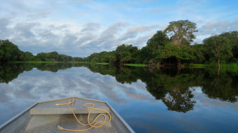 Produtores rurais recebem por mata conservada na Amazônia