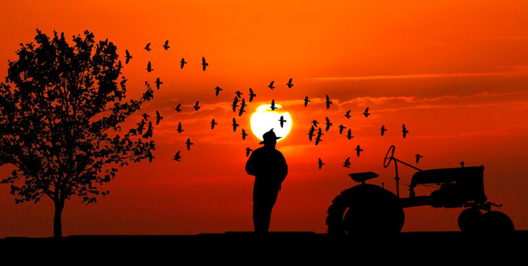 Crescimento da produção agrícola e biodiversidade