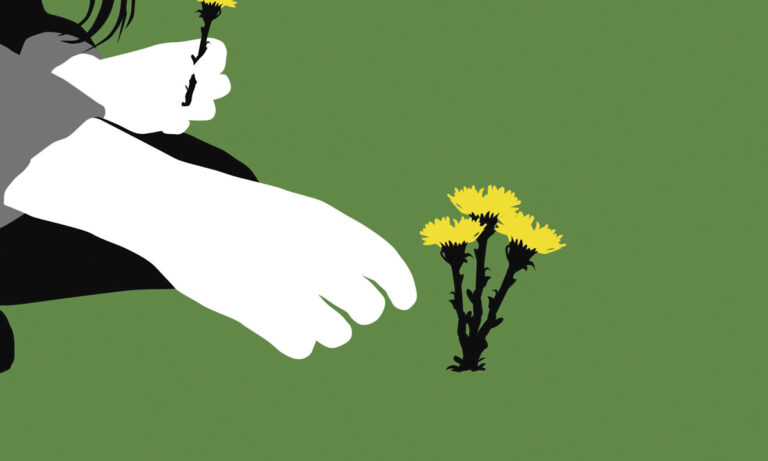 Seis medidas para a queda rápida do desmatamento