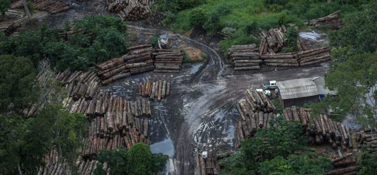 Pesquisa aponta que brasileiros não confiam no Estado para proteger a Amazônia