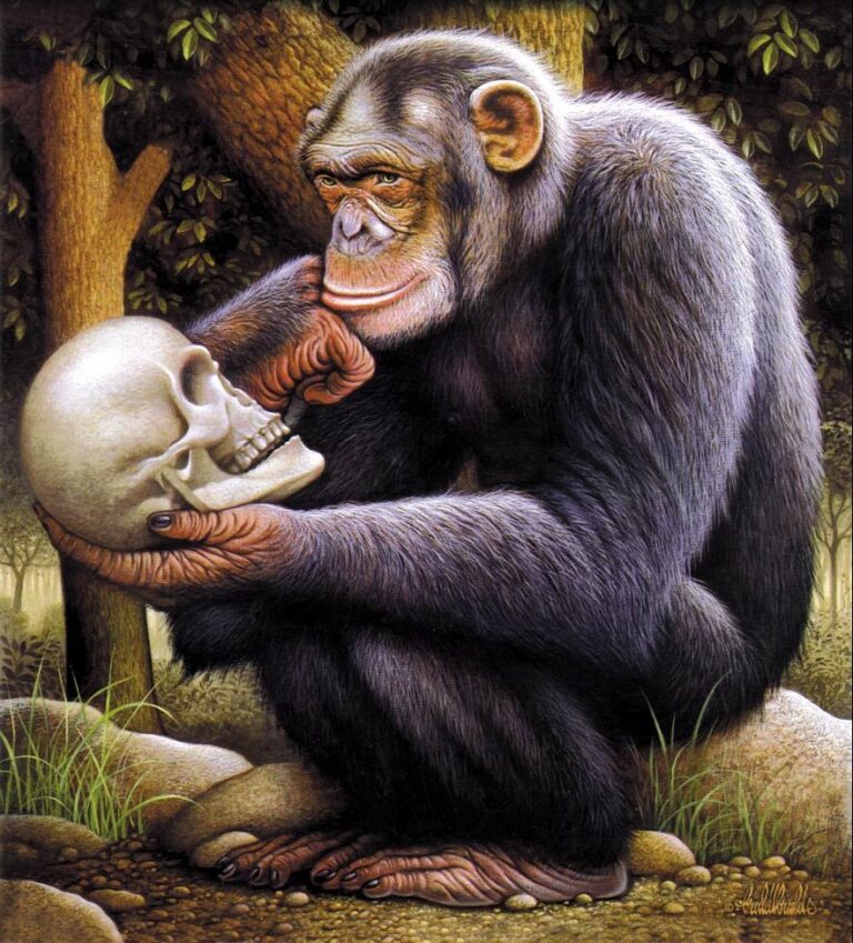 O Resgate do Espírito e da Natureza