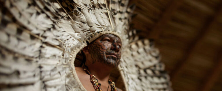 Aldeias na reclusão: invasão e luta nas fronteiras Norte