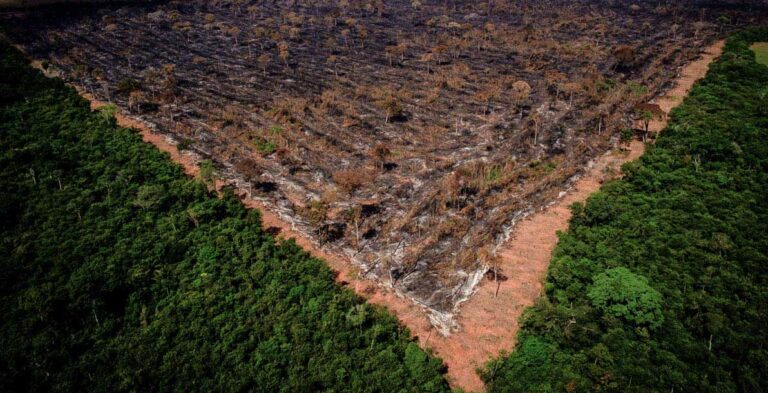 STF analisa paralisação do Fundo Amazônia