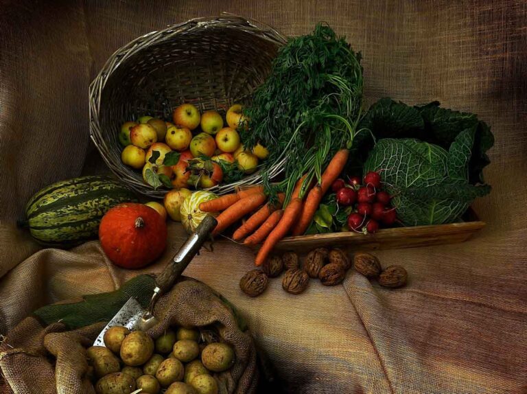 Não se engane: a variedade das prateleiras de supermercado é pura monotonia – por Ricardo Abramovay